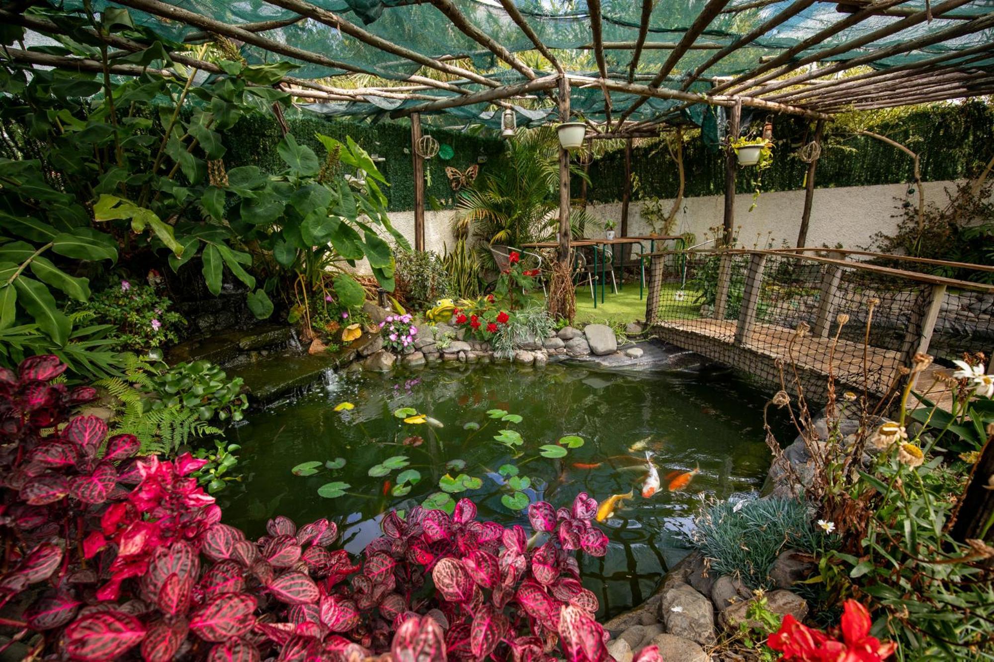 Levada House * Prazeres